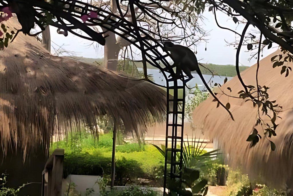 Séjour Authentique de 7 Jours à Toubacouta